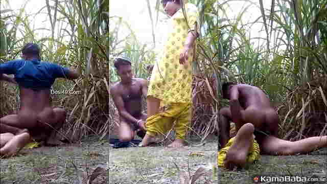 Desi Village Girl Gets Ravaged by Local Labour Boy in Outdoor XXX Video